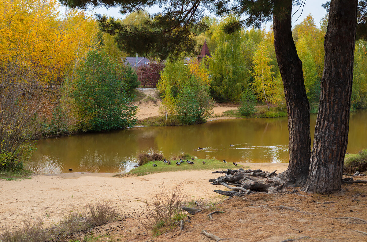 На речке в октябре - Александр Синдерёв