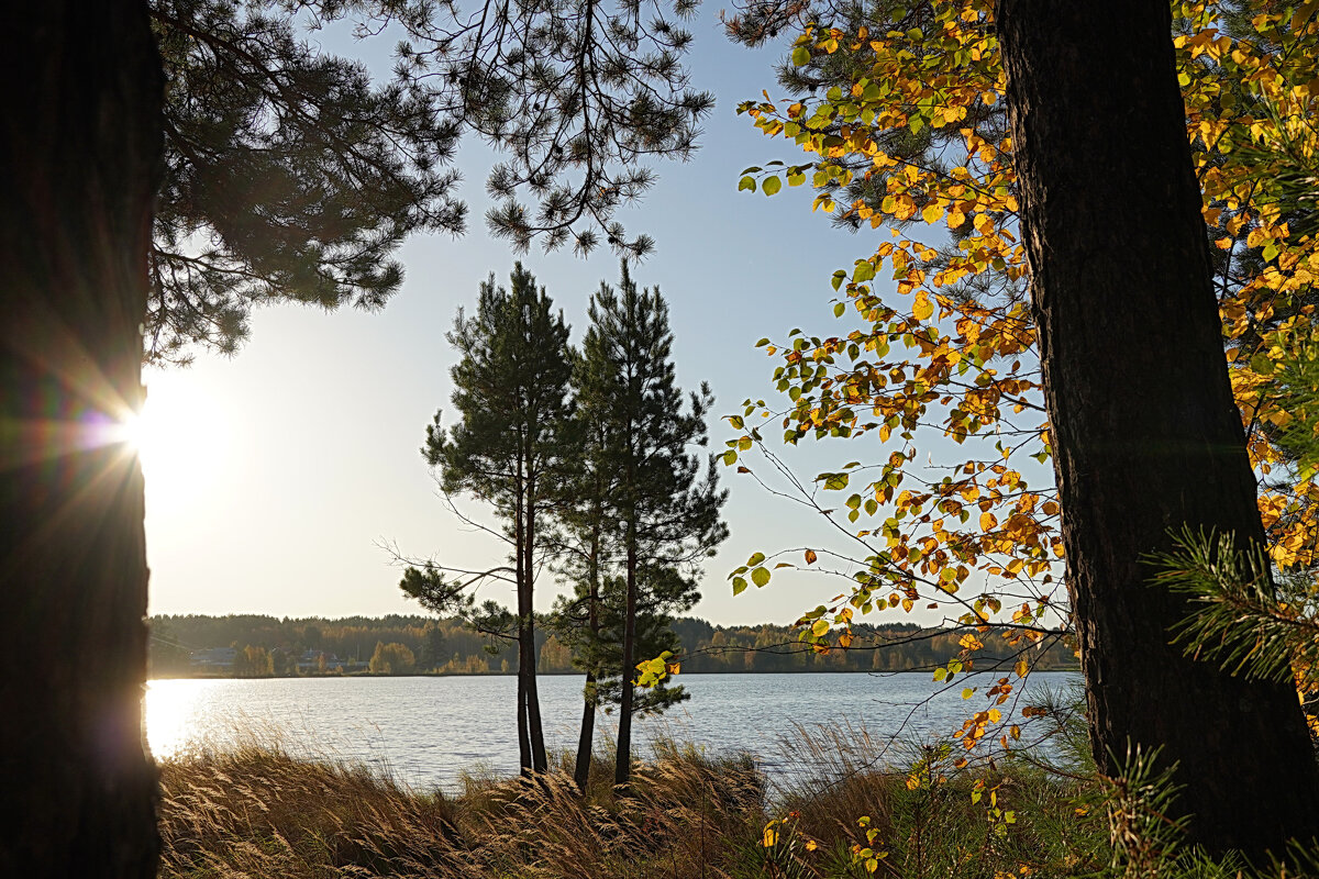 А солнце осенью совсем другое- - Галина Кан