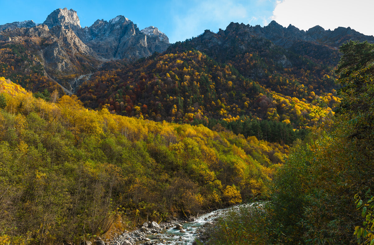 Цей - Батик Табуев
