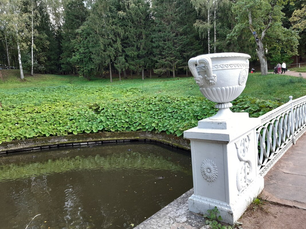 Павловск, Павловский парк - Галина Минчук