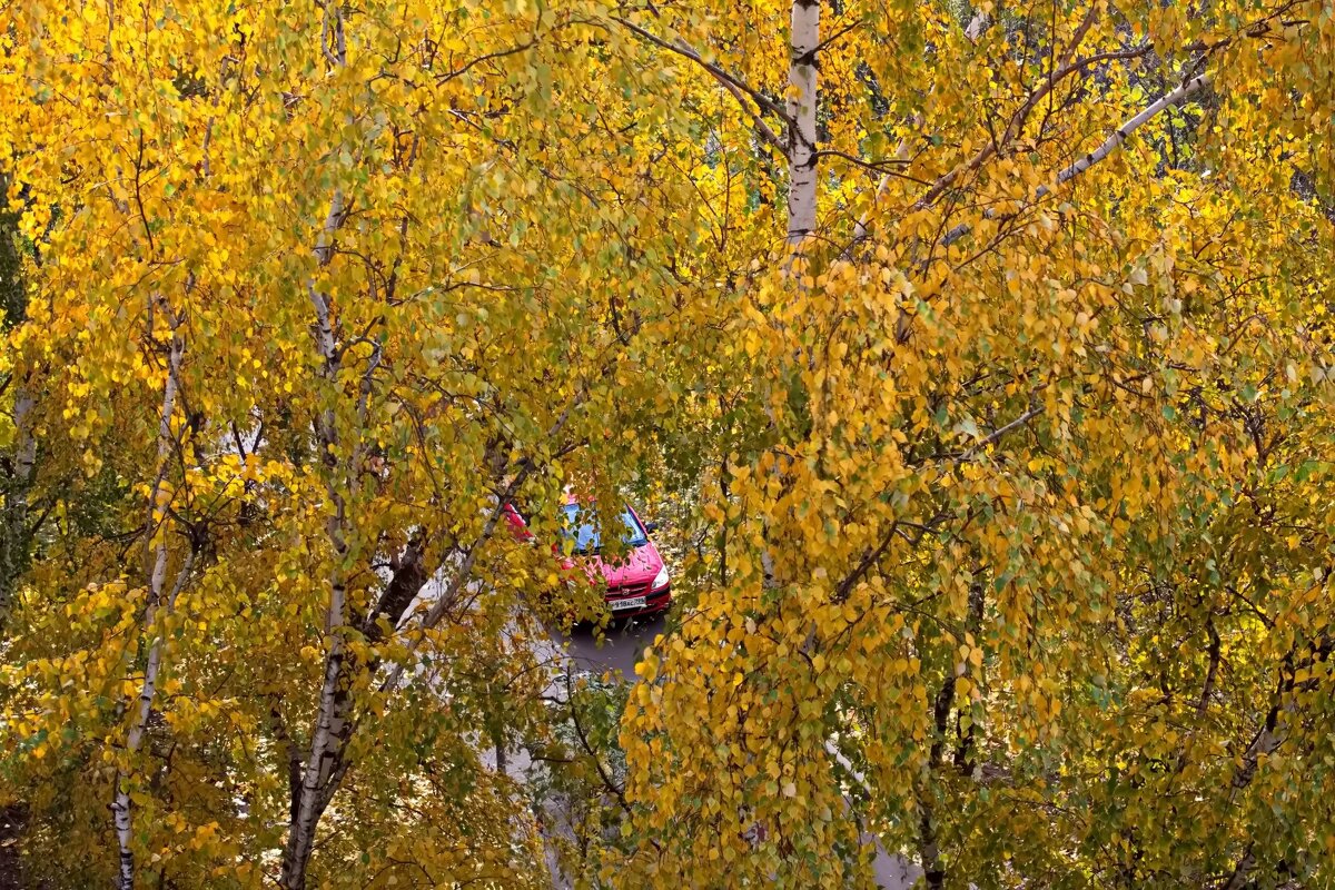 Осень - Тамара Вебер