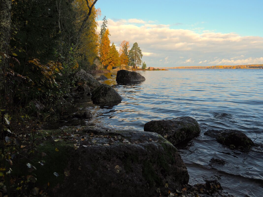 В парке Монрепо - Магомед .