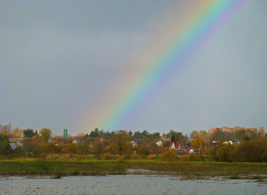 *** - gawrilа - dan