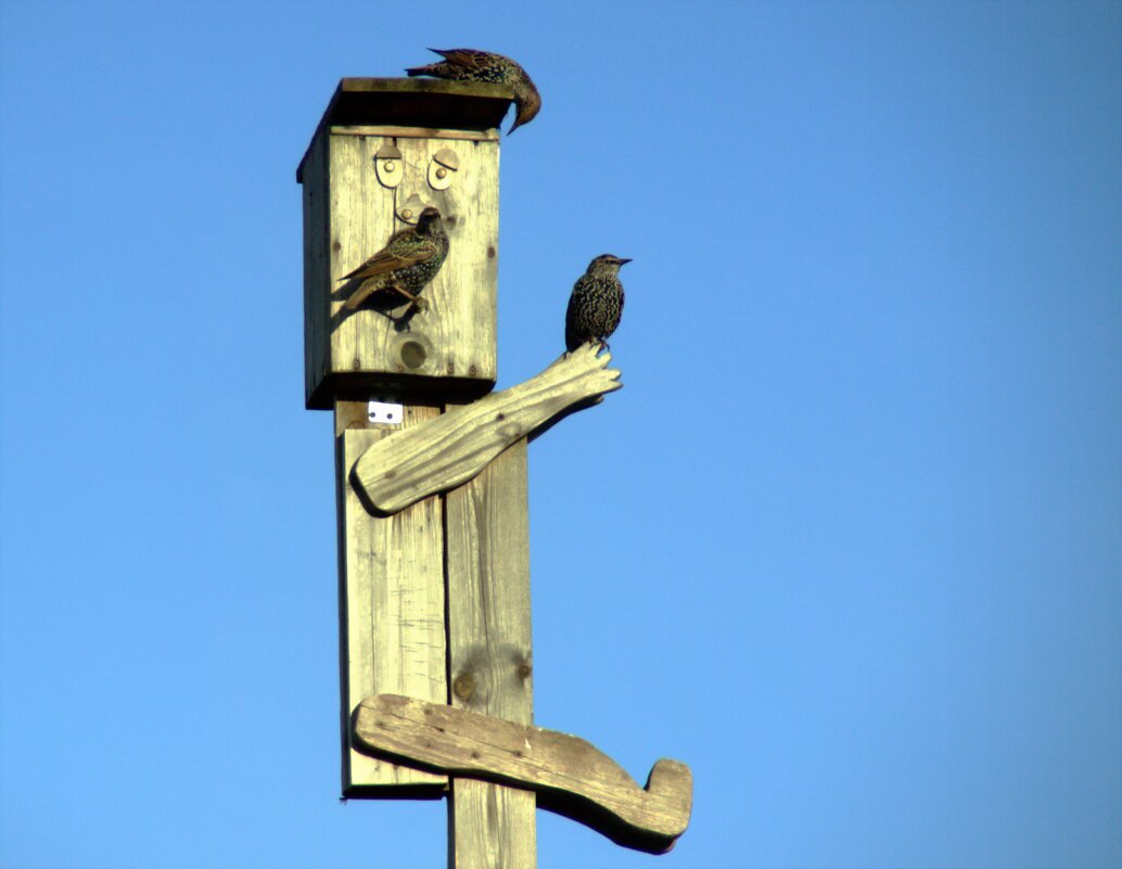 Кто кто в теремочке живет? - евгений 