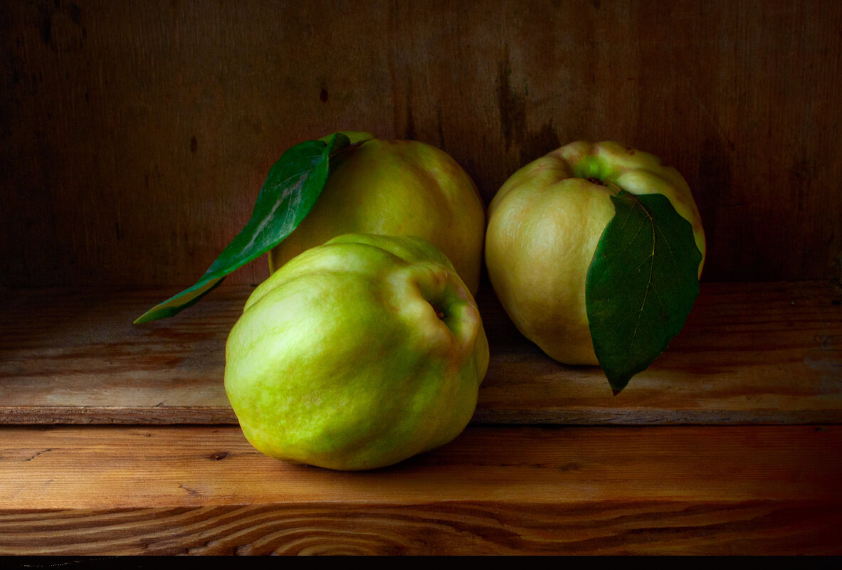 Айва - Игорь 