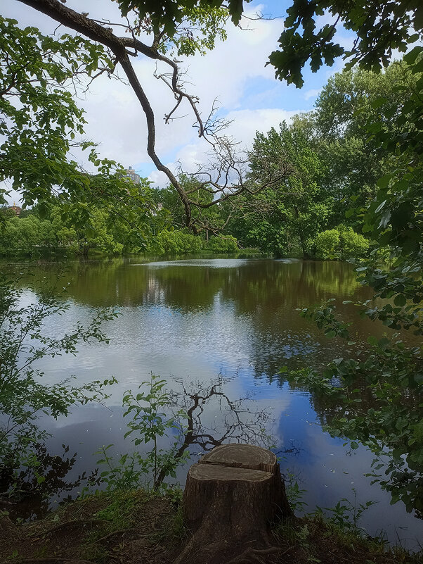 Летние пейзажи Елагина острова. - Лилия *