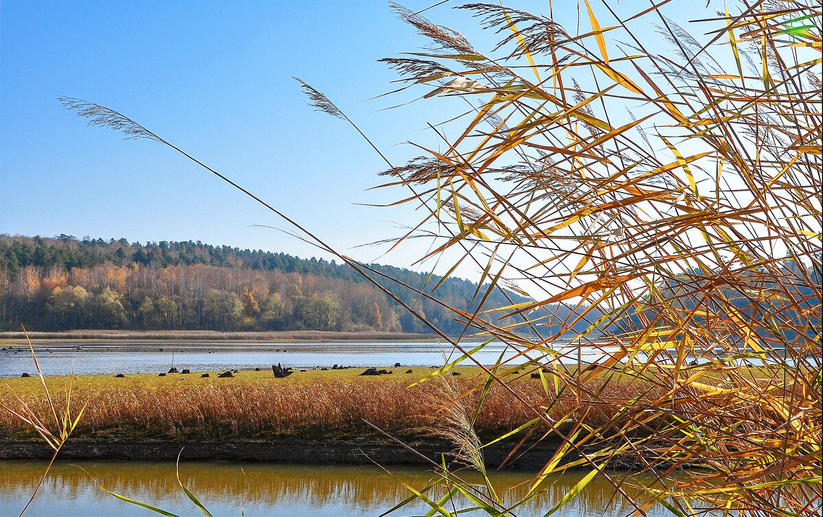 Осень - **** vedin