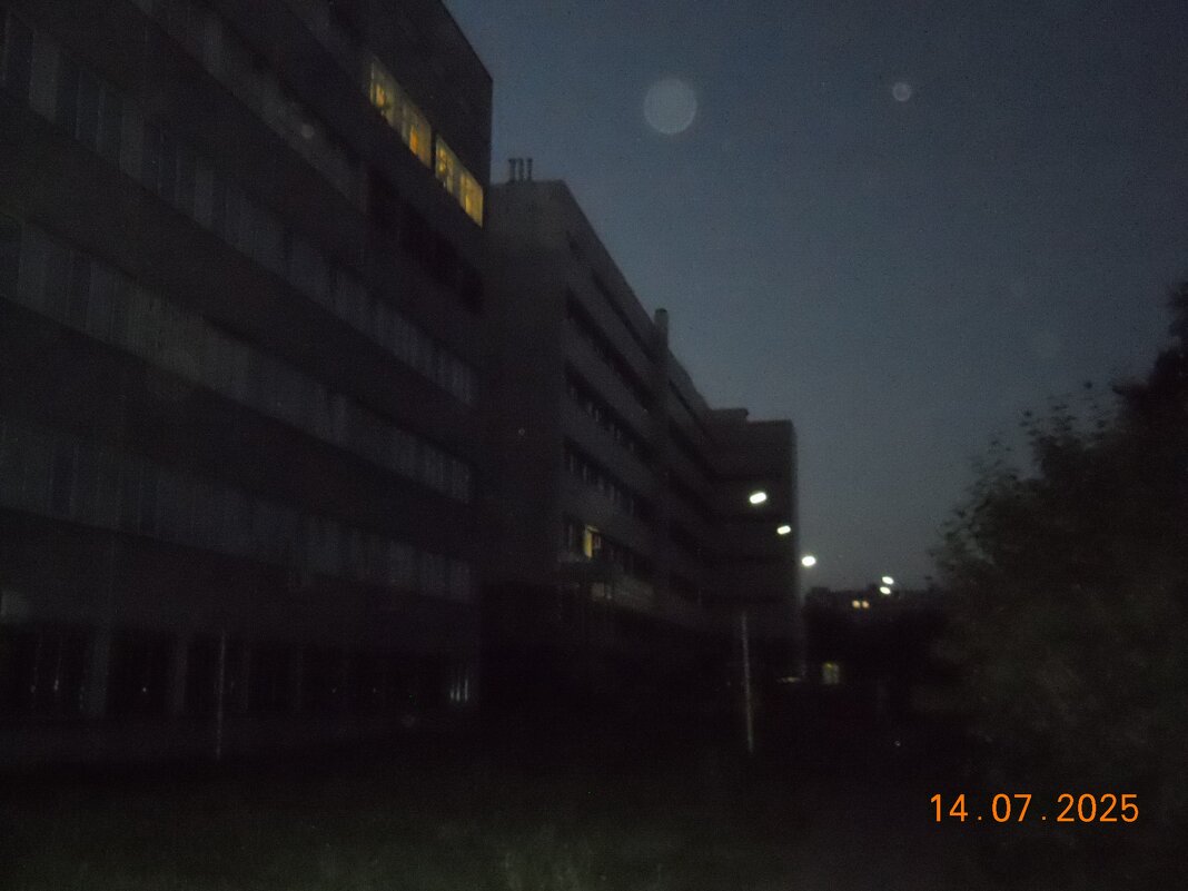 без названия - fogmeadowww m