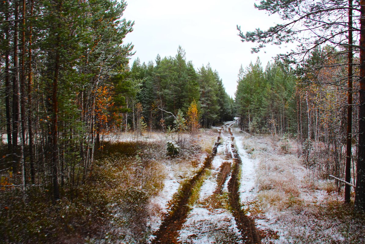 Дорога - Сергей Никифоров