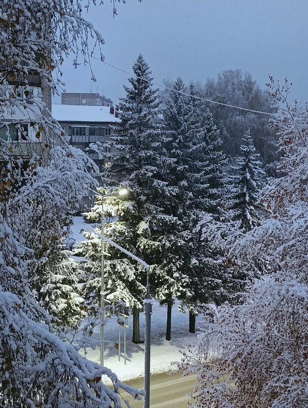 Зима в гости заходила . - Мила Бовкун