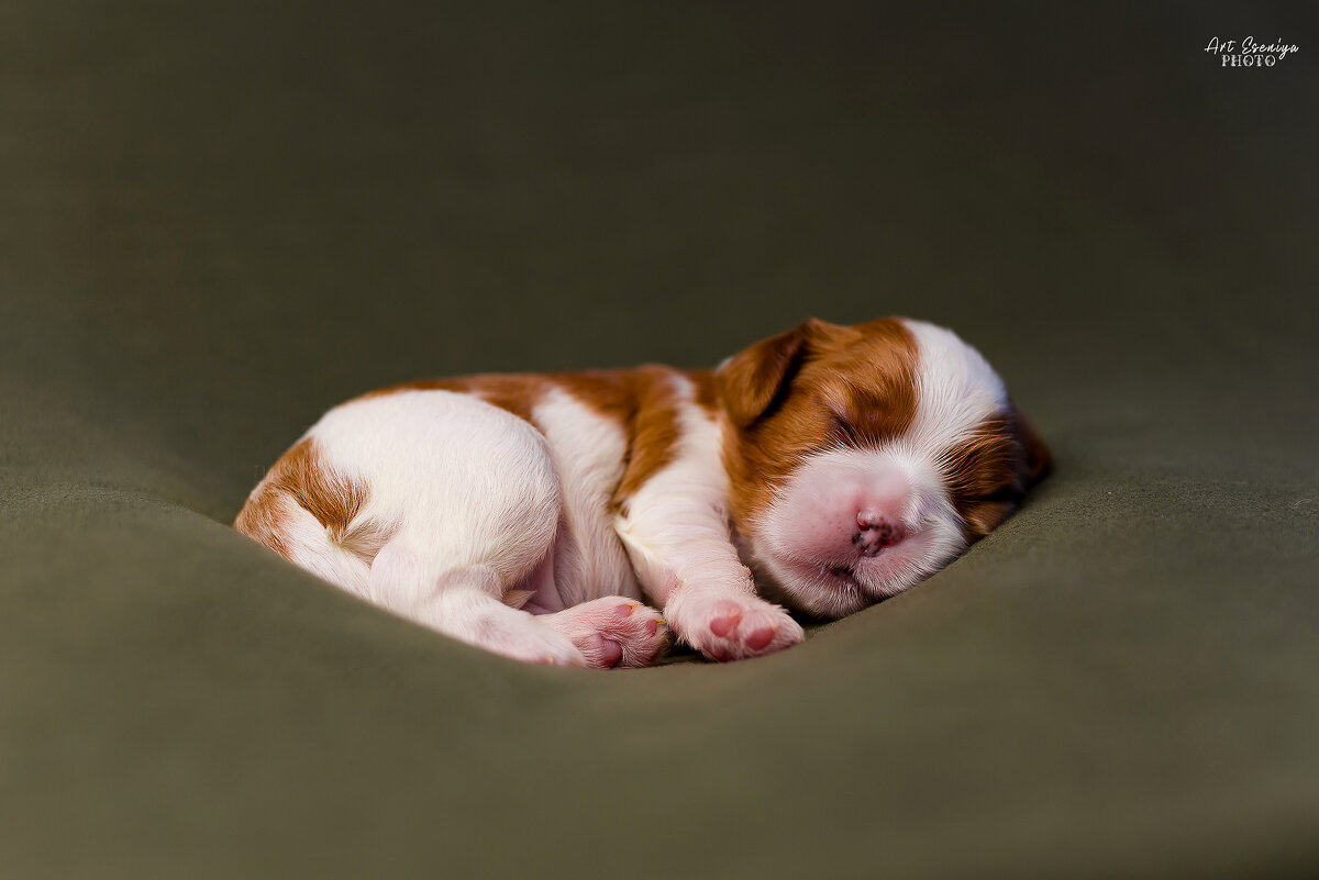 Розовые пяточки - ARTEseniya Кристина Вальтер