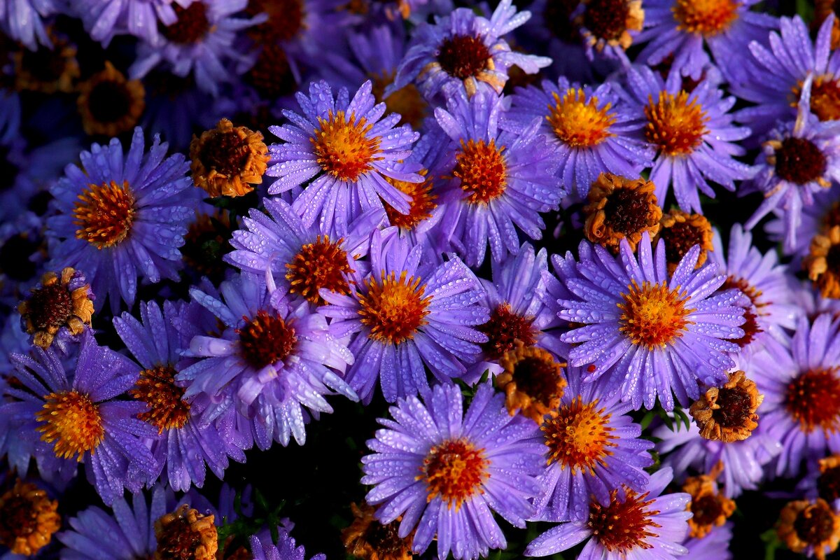 Октябрины - Юрий. Шмаков