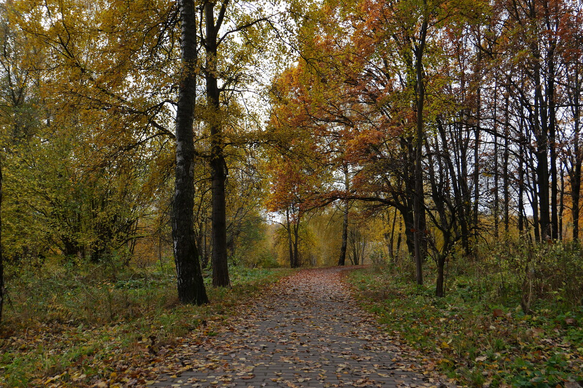 Осенний парк - Олег Дорошенко
