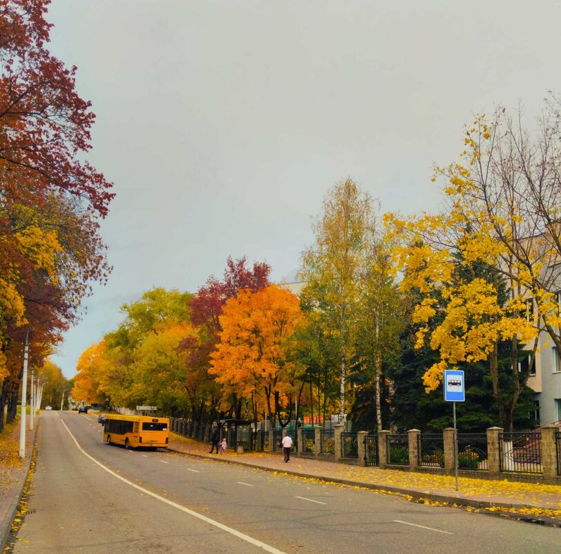 Когда автобус в теме) - Галина Бобкина