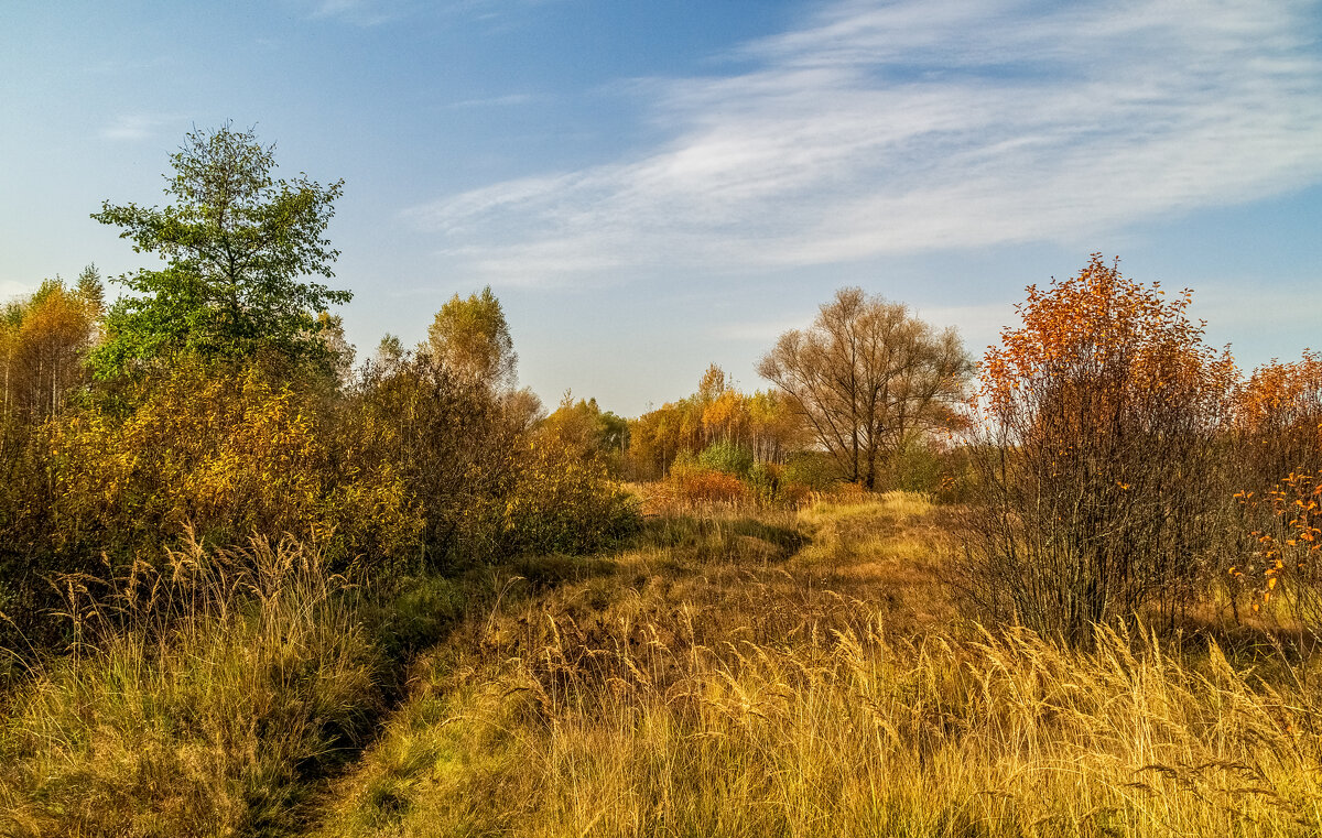 Осеннее утро 4 - Андрей Дворников