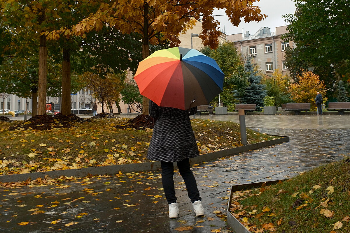 Дождь - Лютый Дровосек Дождь - Лютый Дровосек