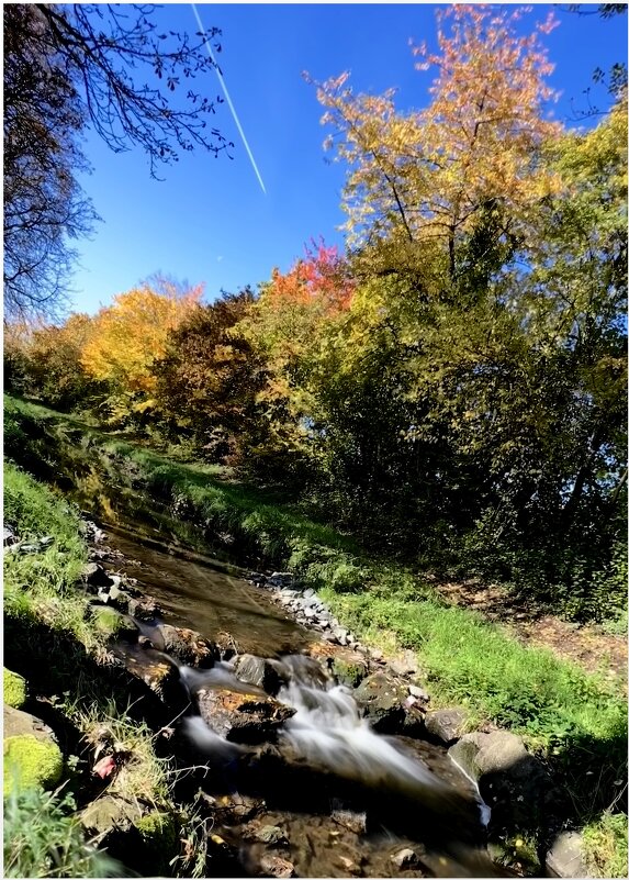 Поит осень ручей за околицей Проливным серо-хмурым дождём. - "The Natural World" Александер
