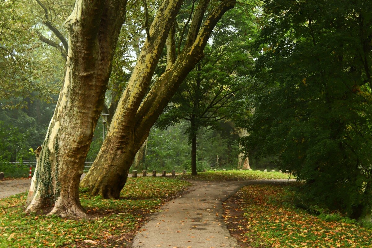 Утро октября - Юрий. Шмаков Утро октября - Юрий. Шмаков