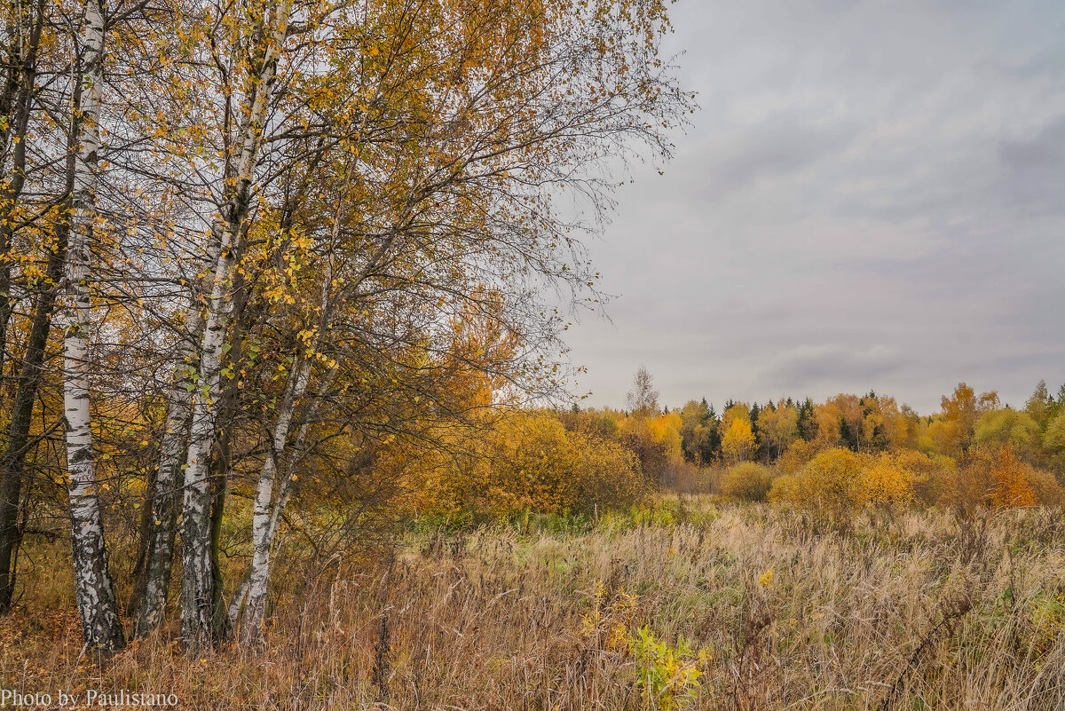 На опушке... - Владимир Жданов