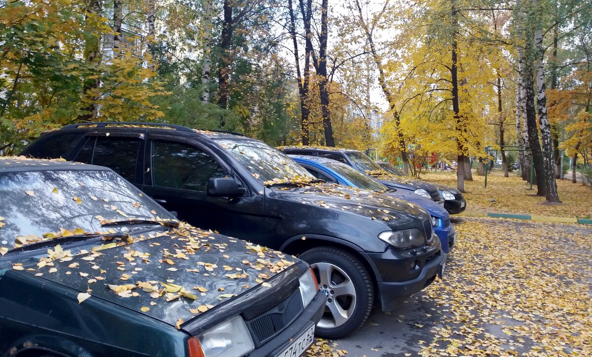 Осень в городе - Galina Solovova Осень в городе - Galina Solovova