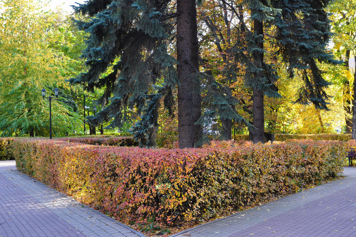 "Очей очарованье!" - Татьяна Машошина