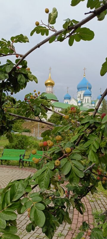 монастырский садик - Галина R...