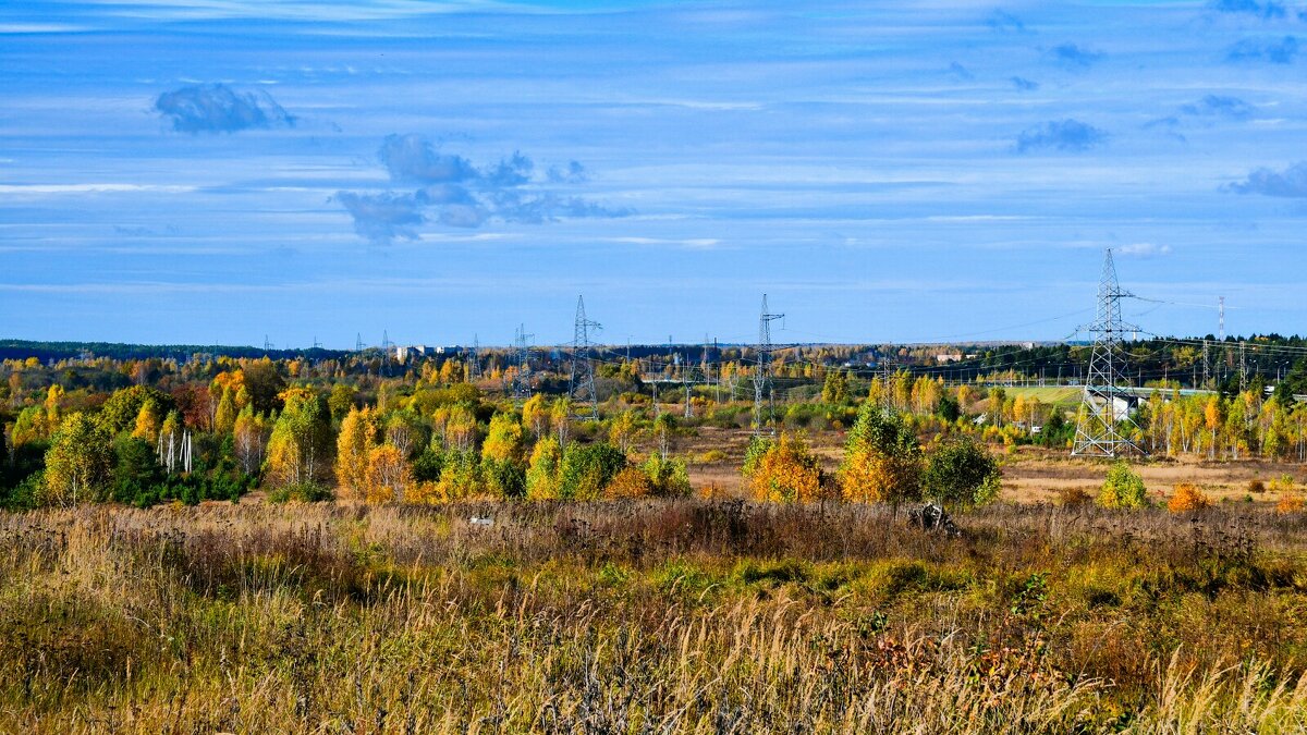 Осень на Смоленщине. - Милешкин Владимир Алексеевич 