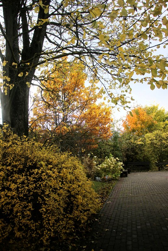 Октябрь - Наталья Герасимова Октябрь - Наталья Герасимова