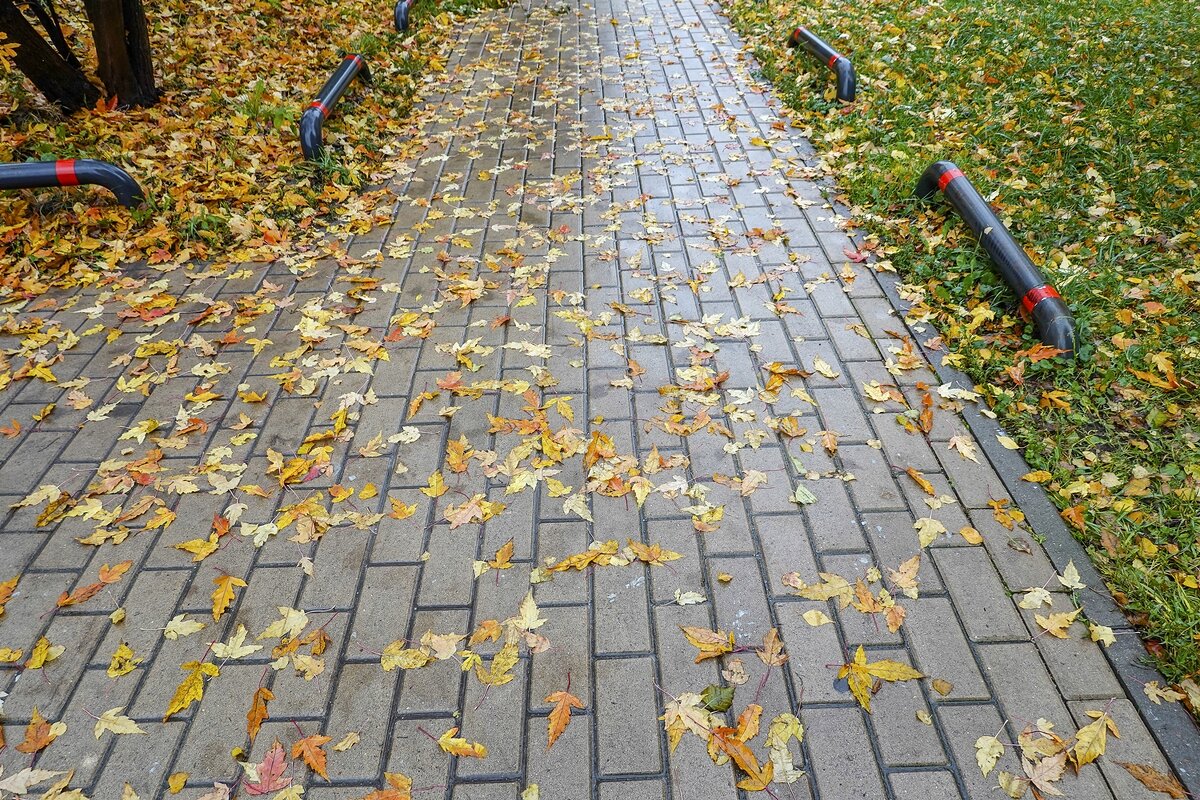 Осенние тротуары - Валерий Иванович Осенние тротуары - Валерий Иванович