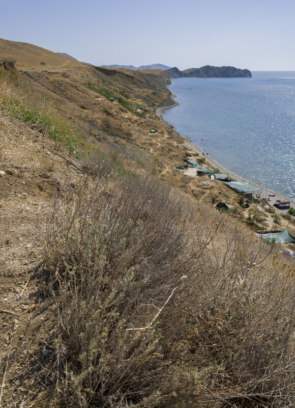 вдоль берега - Елена Агеева