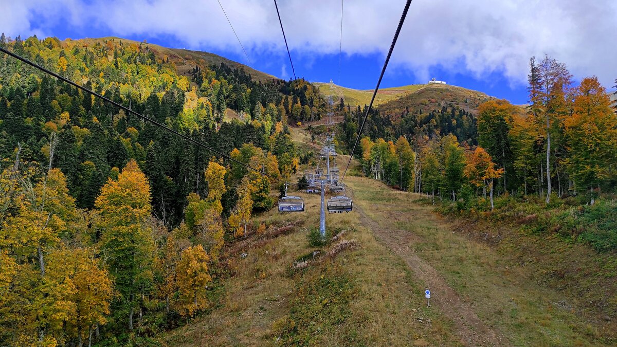 Дорога к Волчьей скале - Татьяна Лютаева