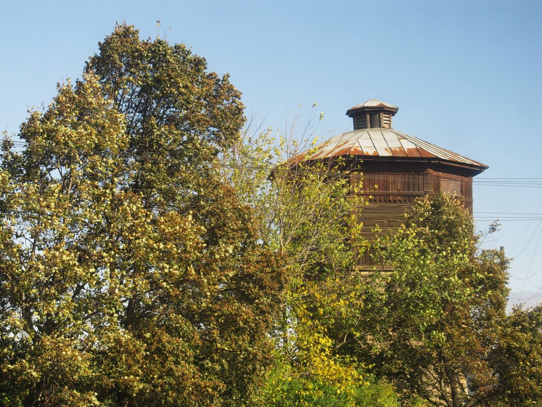 где-то в пути - Елена Шаламова