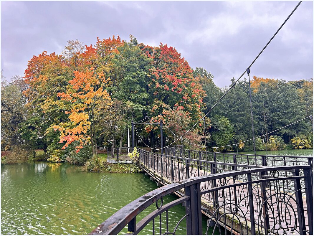 Осень у пруда. - Валерия Комова