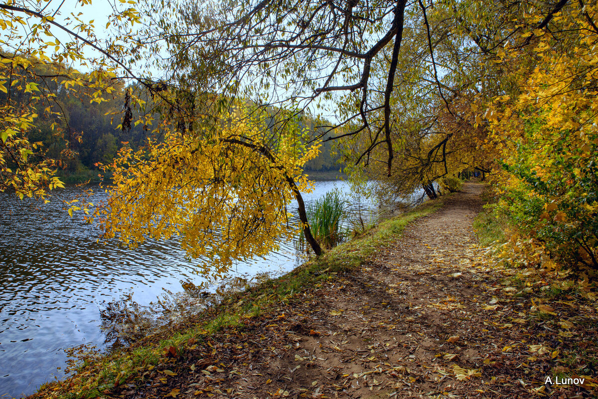 Осенний берег пруда. - Anatoly Lunov Осенний берег пруда. - Anatoly Lunov