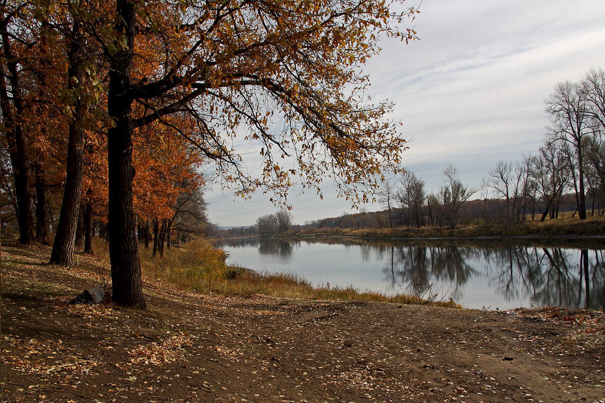 Осень. Октябрь - MILAV V