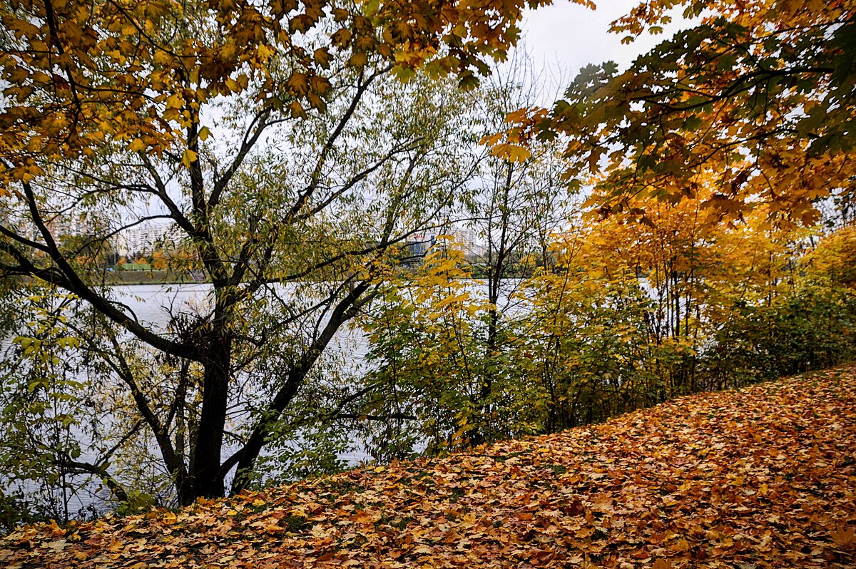 Вдоль обрыва, по-над пропастью, по самому по краю,,,, - Анатолий Колосов
