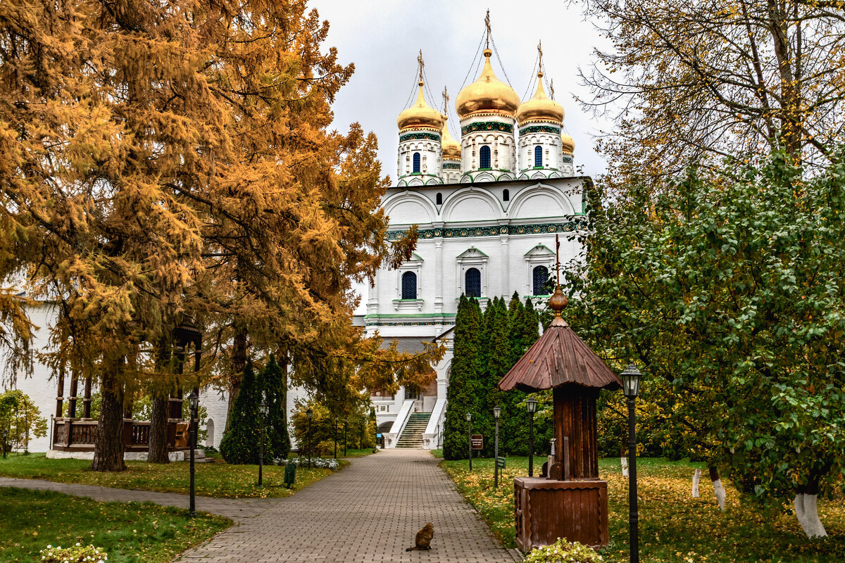 Иосифо-Волоцкий мужской монастырь, Московская обл. - But684 