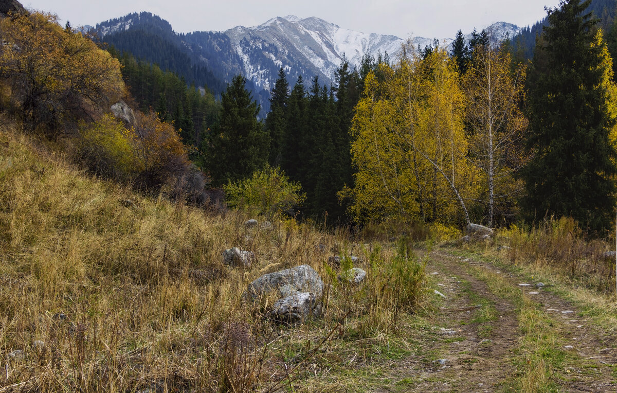Модные оттенки сезона - LudMila Модные оттенки сезона - LudMila