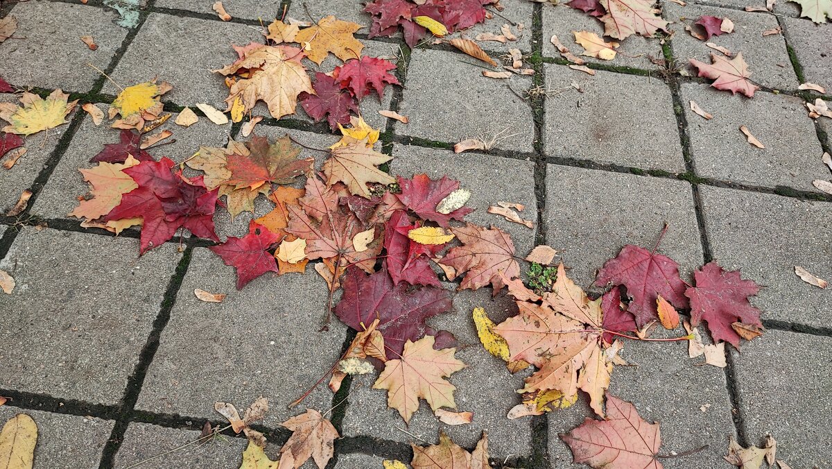 ,,, - Сергей Тимоновский ,,, - Сергей Тимоновский