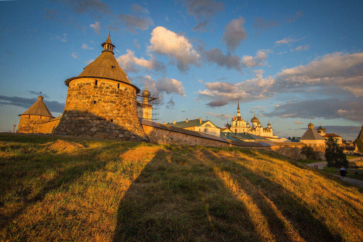 *** - Виктория Павлова
