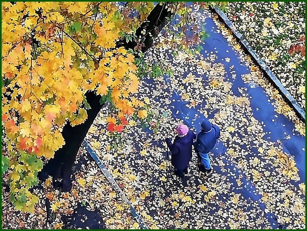 Прогулка в осень. - Ольга Довженко