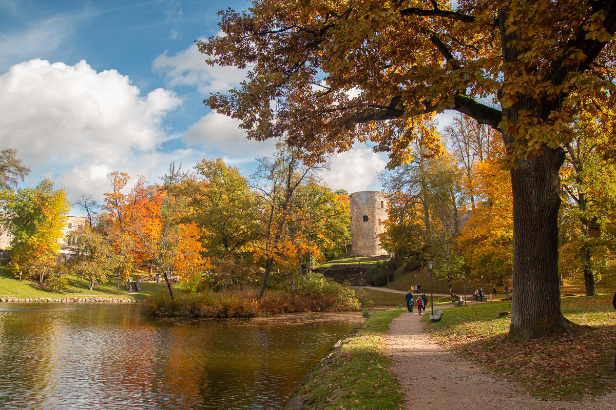 *** - Геннадий Порохов