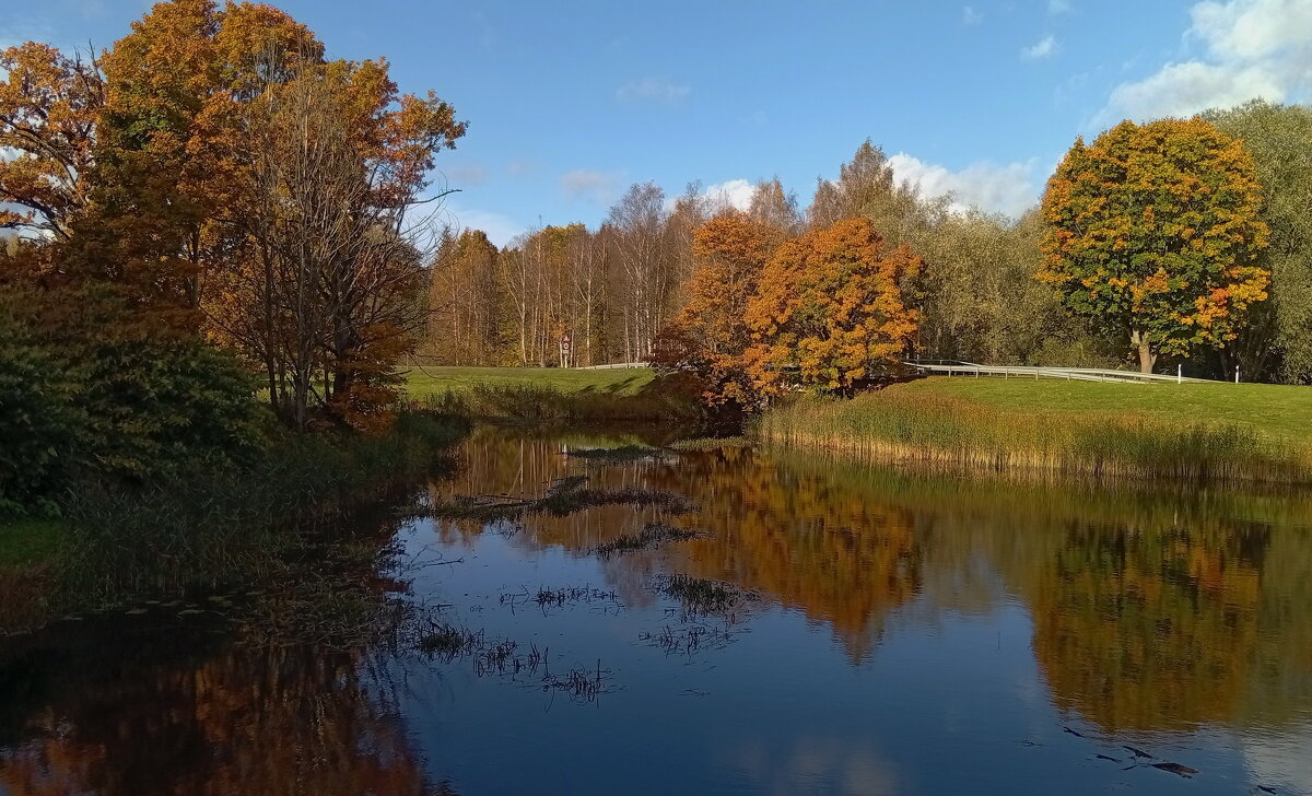 Тихо листает октябрь календарь.. - Татьян@ Ивановна