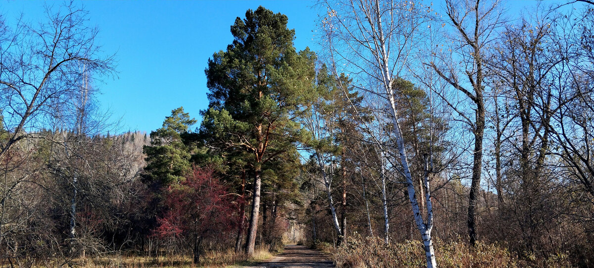 Прекрасный день!!! - Радмир Арсеньев