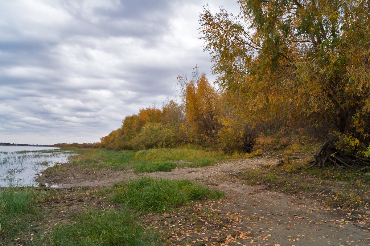 На берегу Иртыша - IRinA*** 