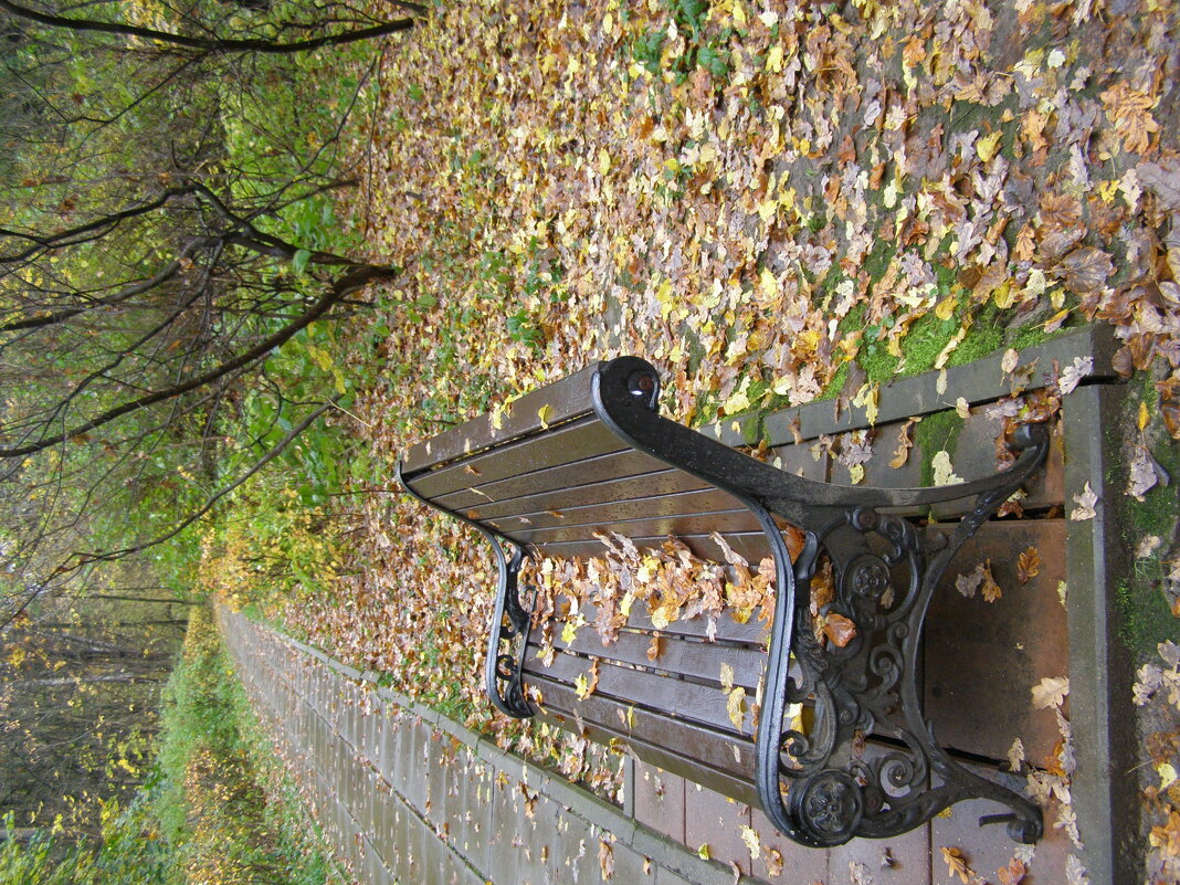 Парк осенний. - Анна Воробьева