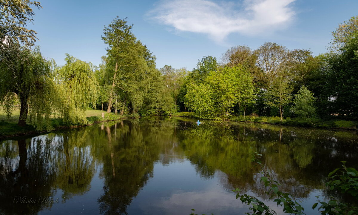 *** - Николай Гирш