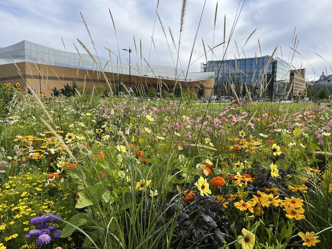 Город стекла и бетона утопает в цветах - Серж Show