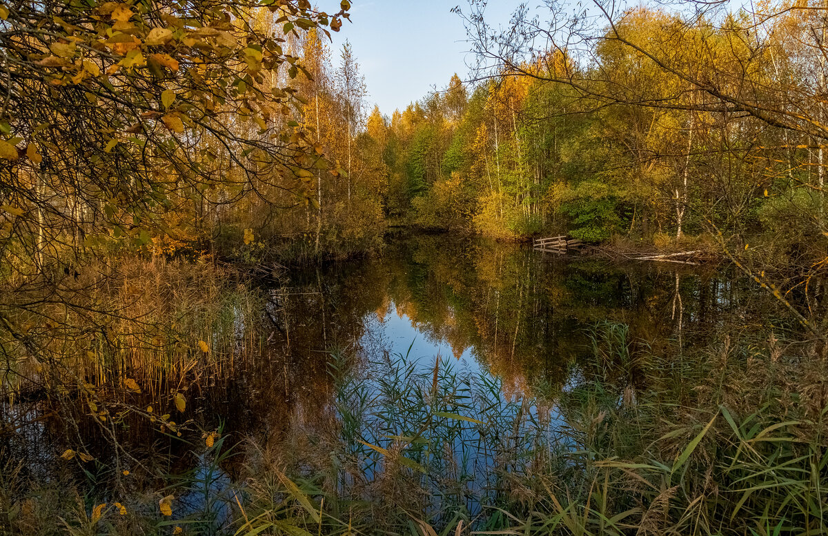 Осенний вечер 3 - Андрей Дворников