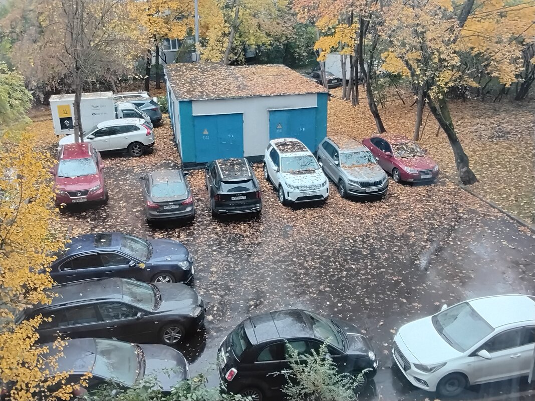 Осеннее утро - Дмитрий Никитин